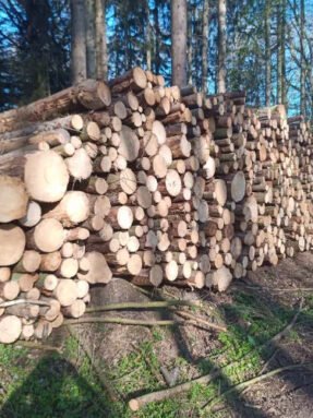 masogrodo-stammholz-nadelholz-pefc-zertifiziert-1.jpg