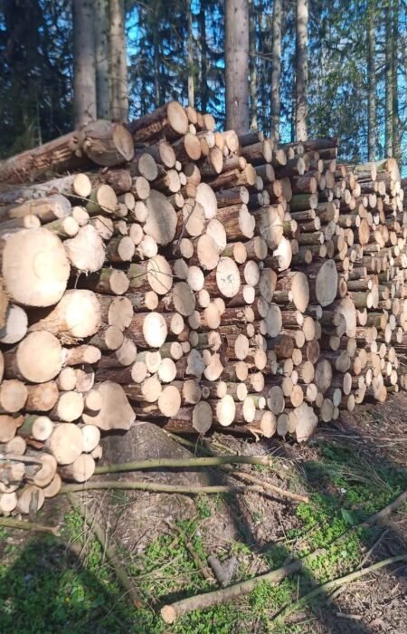 masogrodo-stammholz-nadelholz-pefc-zertifiziert-2.jpg