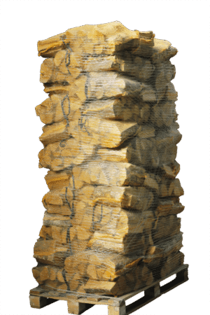 Giant Flames Eschen Brennholz Kammergetrocknet 88 Netze 25cm